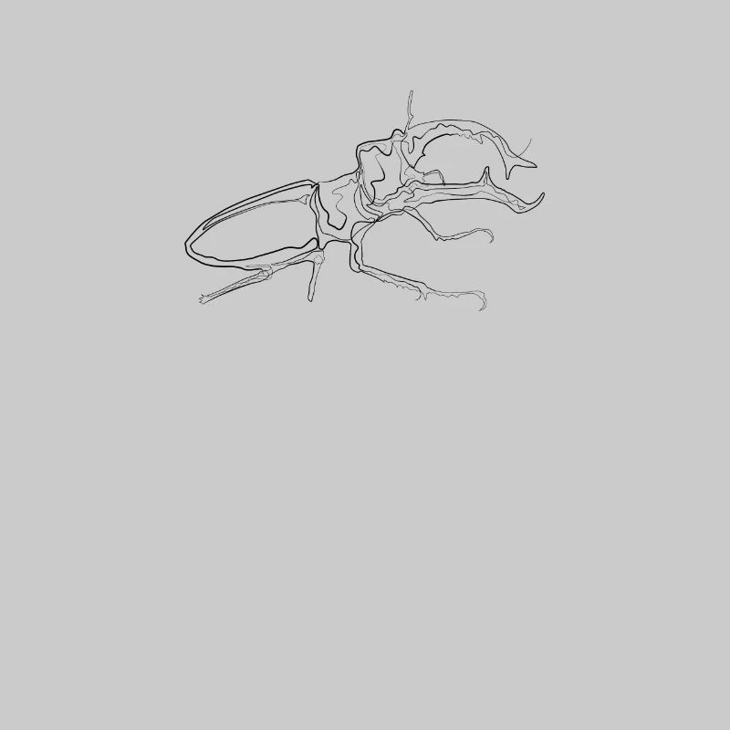 Stag beetle - one line drawing