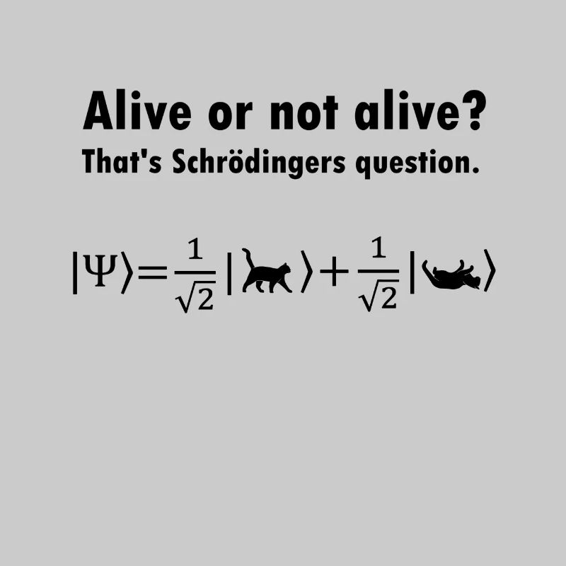 Schrödingers Katze - Physiker Geschenk Physik Nerd