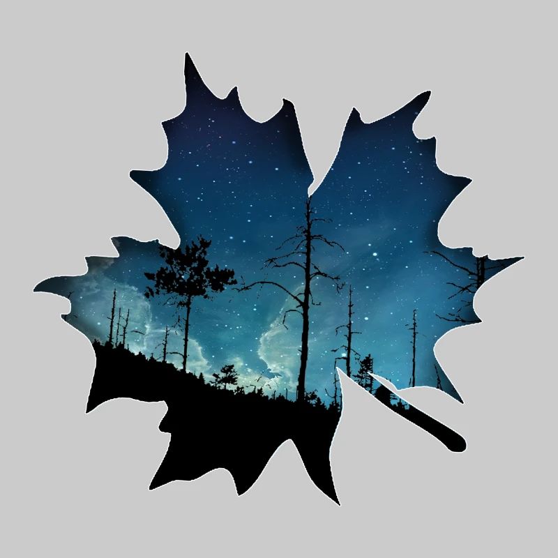 Leaf gift tree night forest nature star maple