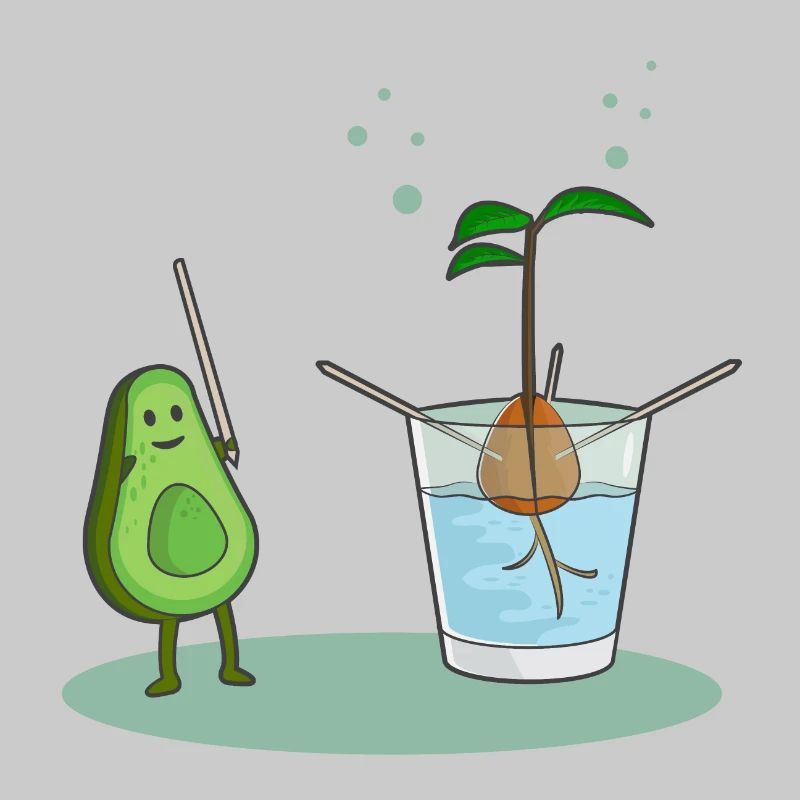 Avocado-Geburt