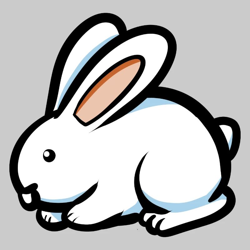 Cool Rabbit