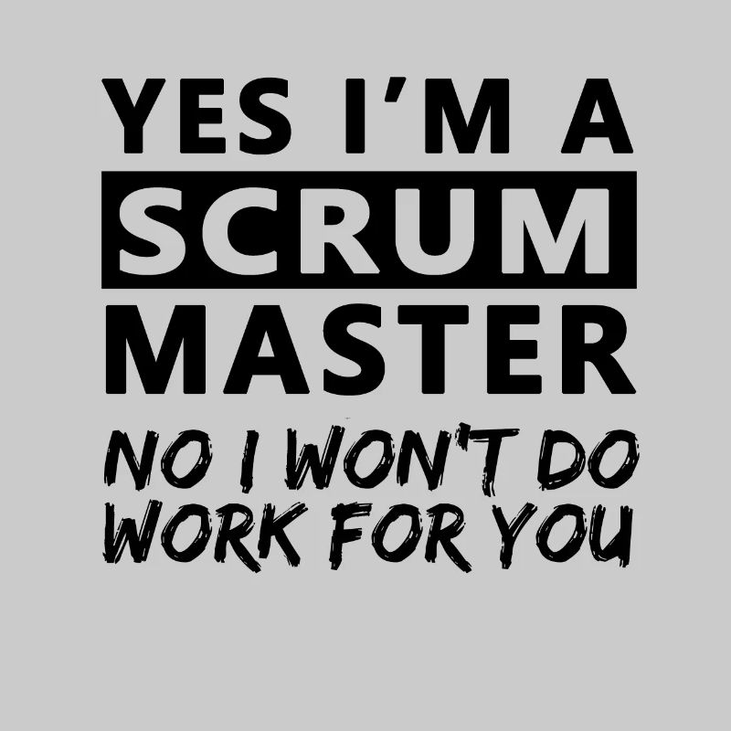 Scrum Master Gift Certified Scrum Master