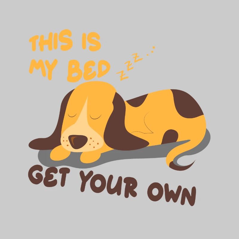 C'est mon lit! Idée cadeau chien