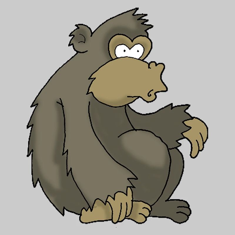 Gorilla