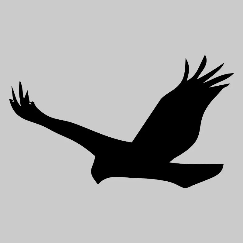 Bird Eagle Birds Fly