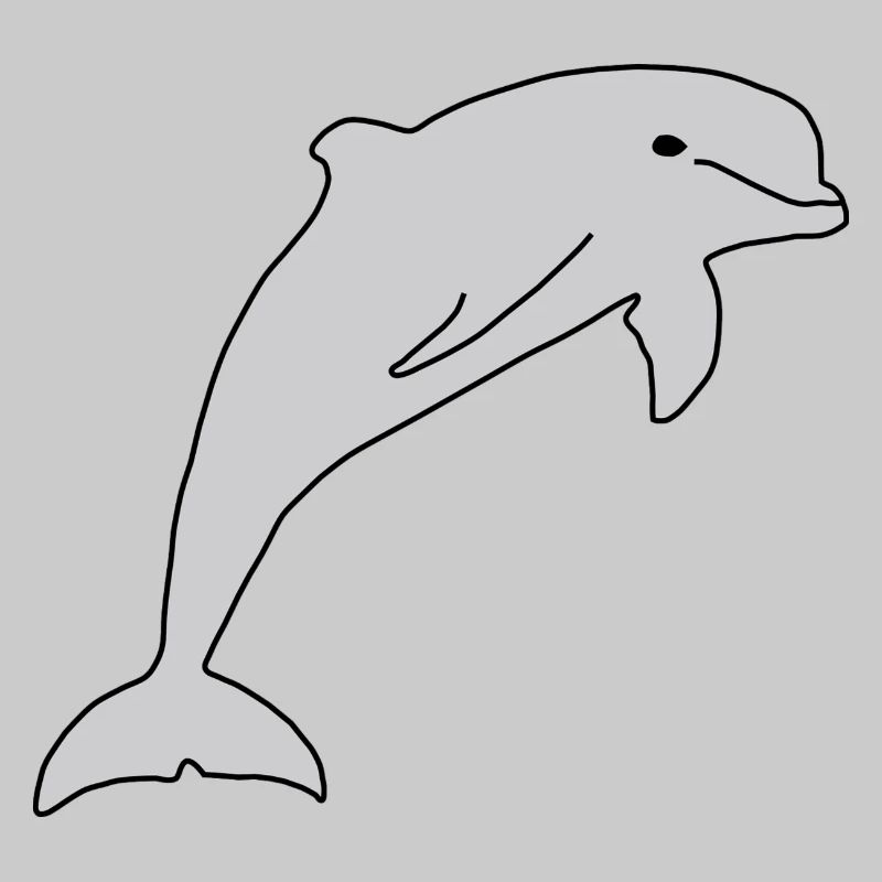 Dolphin