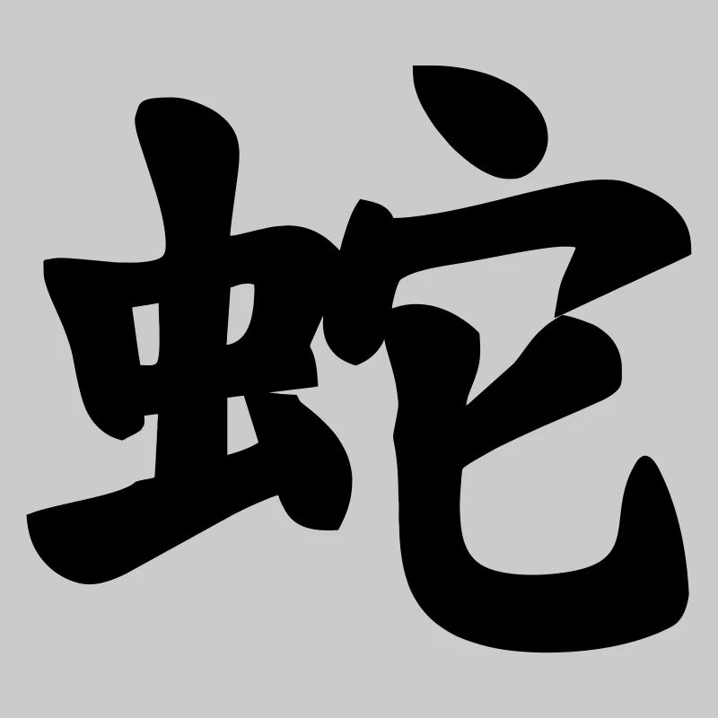 Image d’ombre de serpent en écriture chinoise