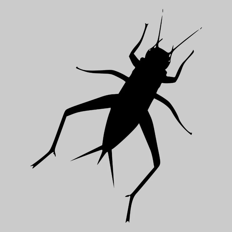 grillo