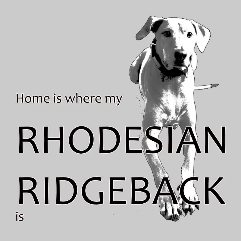 La maison est où est mon Rhodesian Ridgeback