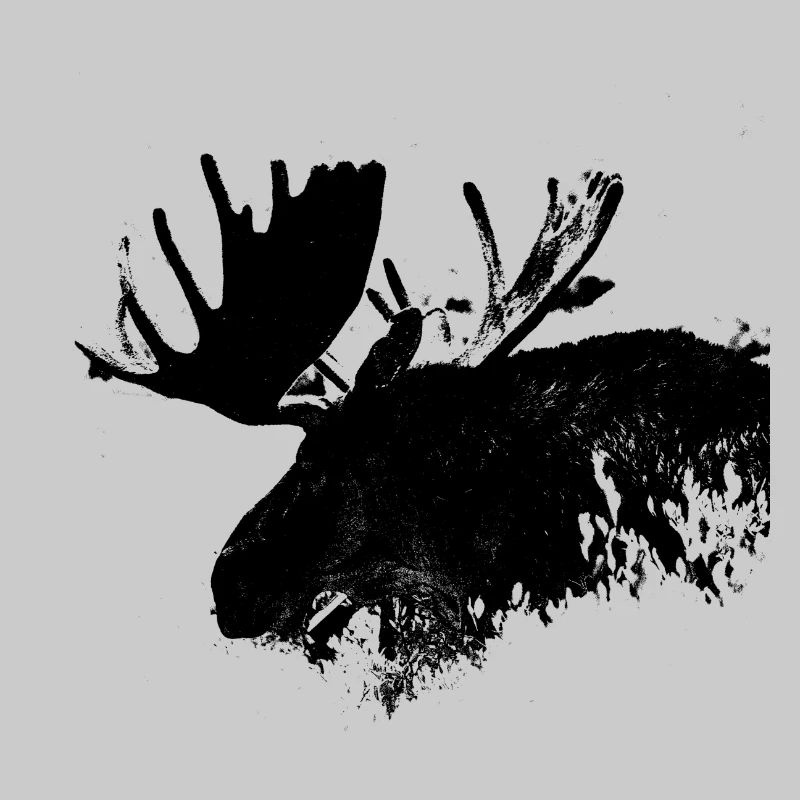 Moose