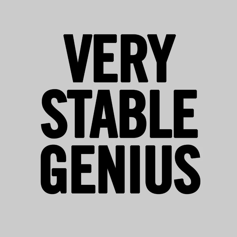 Very Stable Genius Schwarz
