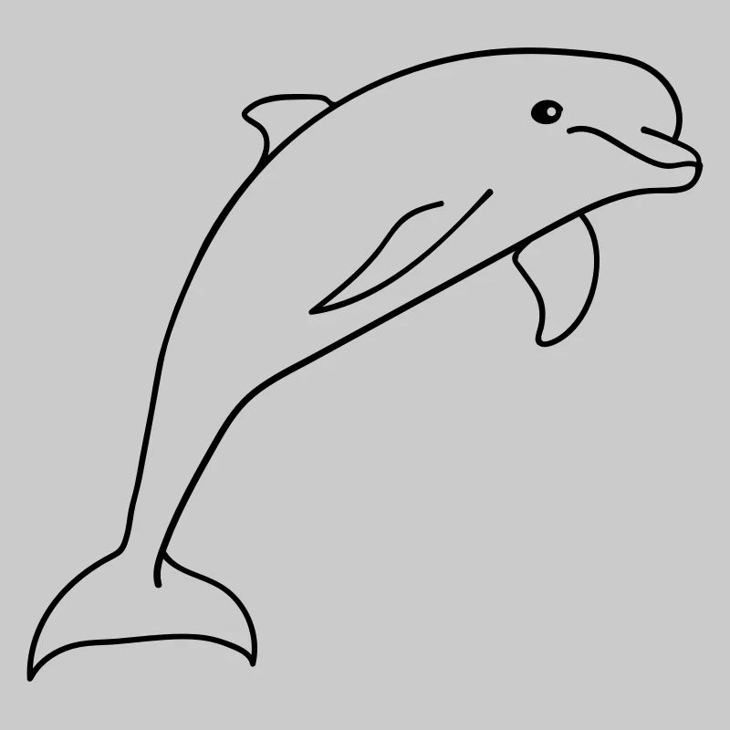delfin springen süß niedlich