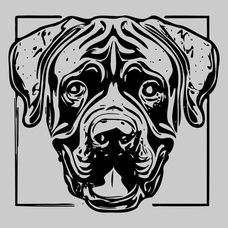 cane corso