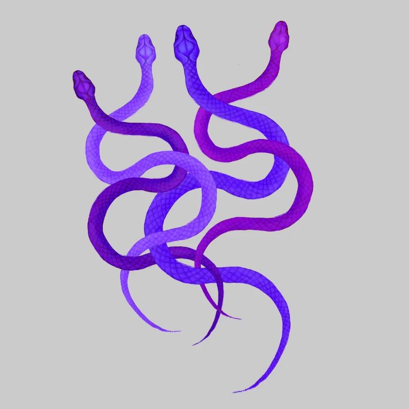 Conception de serpent simple, 4 pythons sauvages