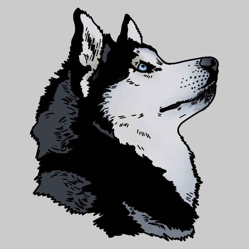 Husky head