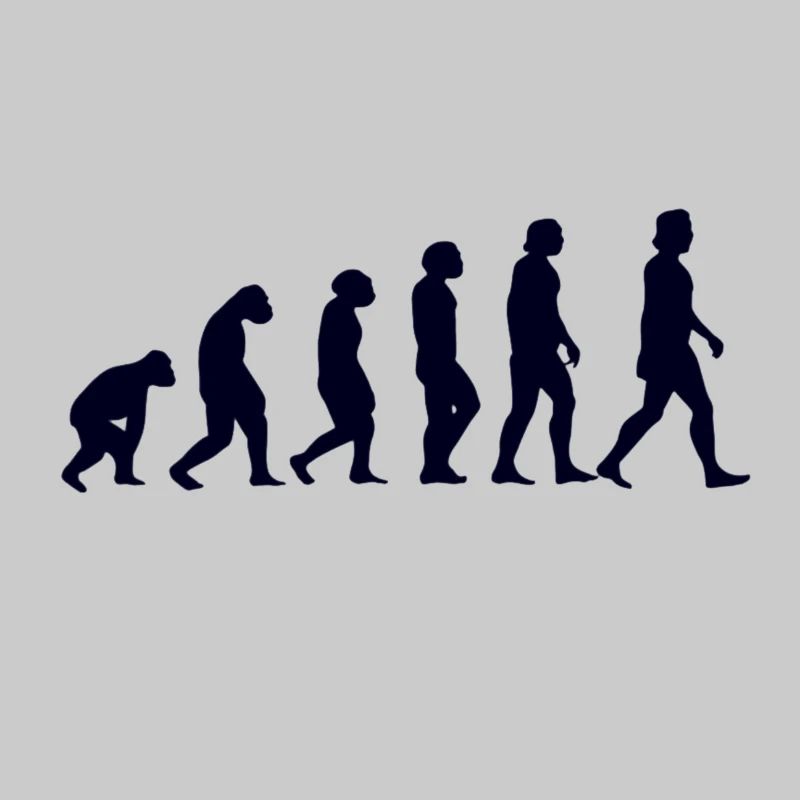 Evolution du singe à l'homme
