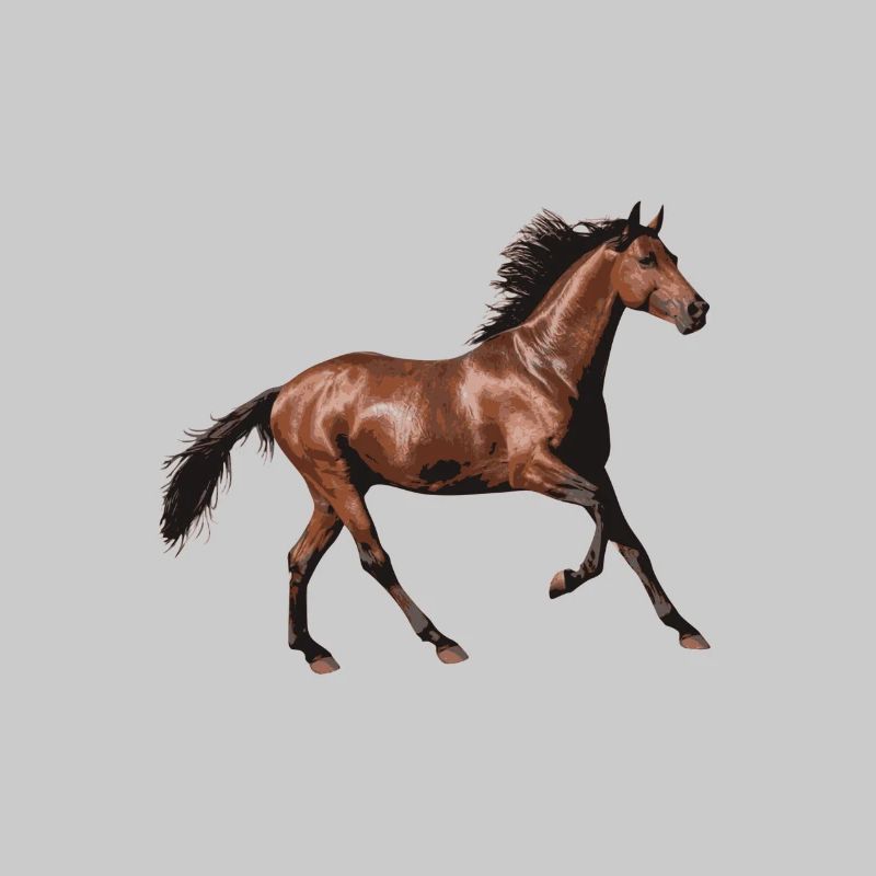cheval brun