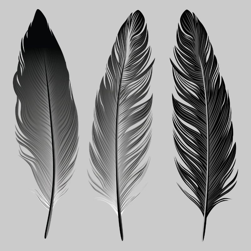 Boho | Feather Style | Illustration