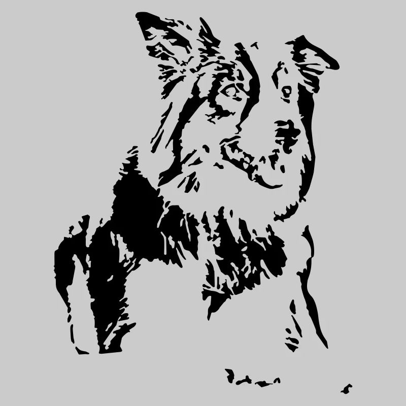 Conception de border collie de chien
