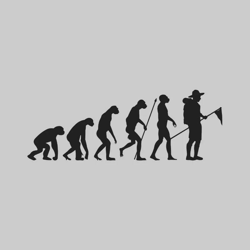 Scouts évolution