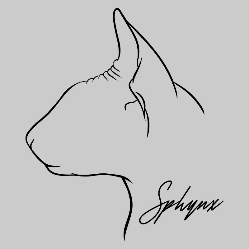 Profil Sphynx Chat Chat Wilsigns