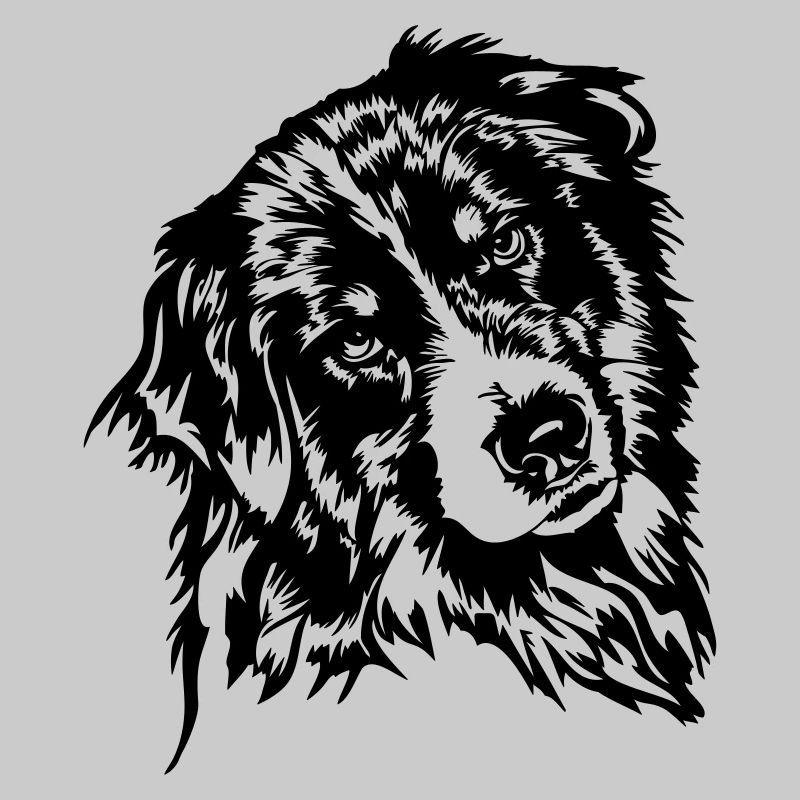 Australian Shepherd Aussie Dog Canine Wilsigns
