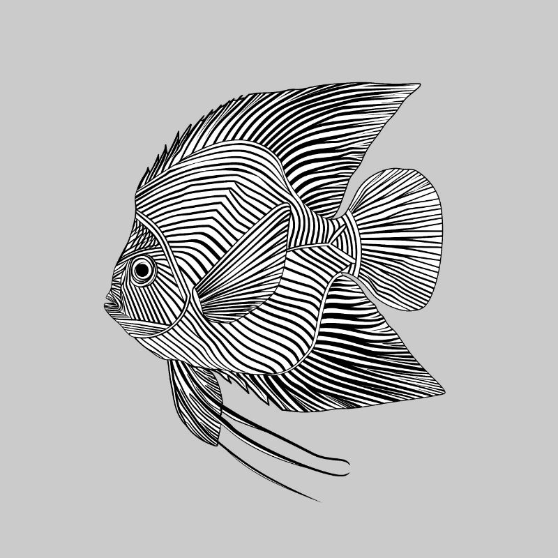 Lignes d’art poisson #fish