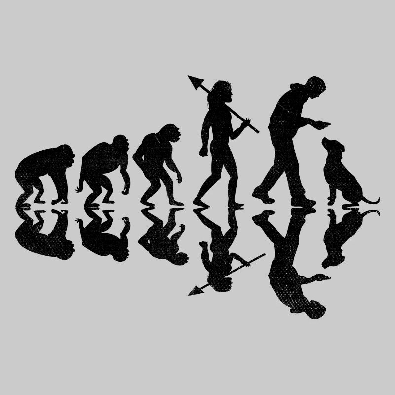 Evolution Labrador Retriever Retrievers de laboratoire
