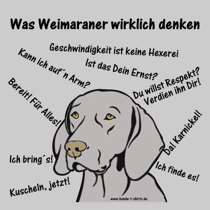 Weimaranergedanken