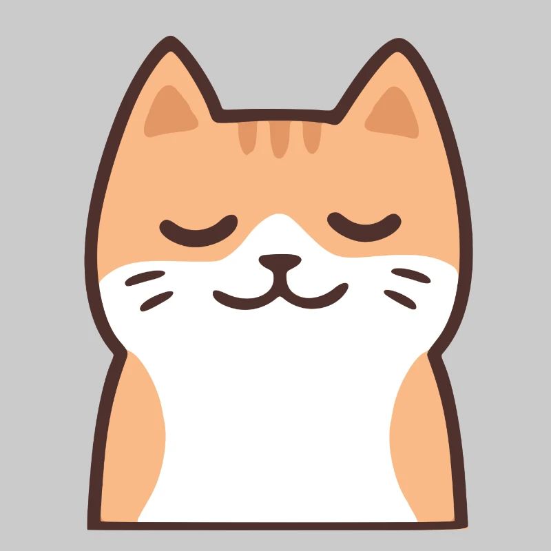 Lilly - Chat mignon - Chat 3