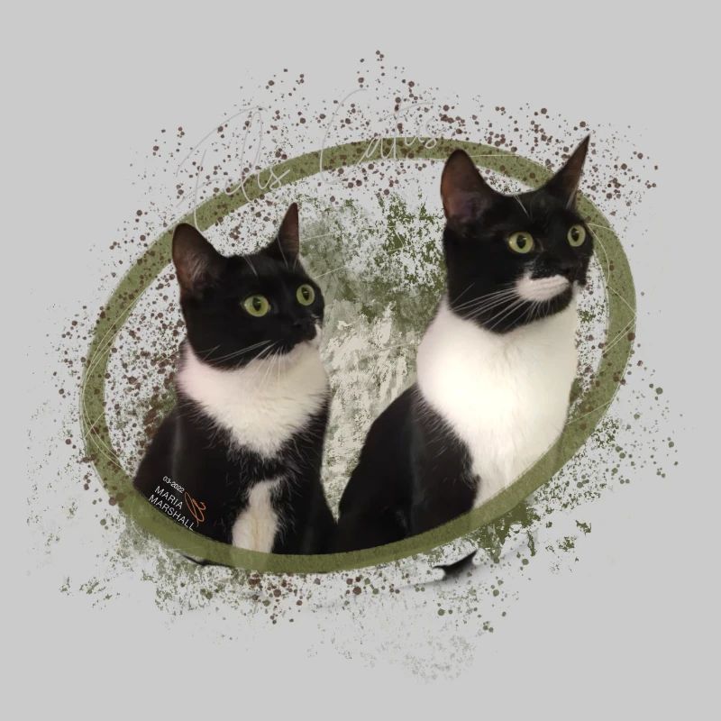 Katzenliebe