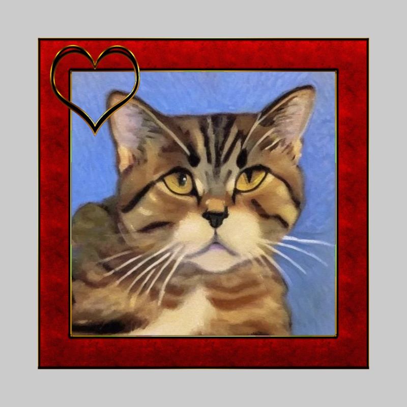 Katzenportrait 4