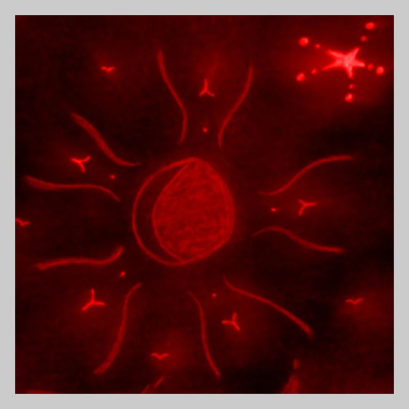 ROTER STERNENMOND
