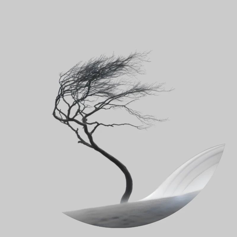 A small tree in the big storm