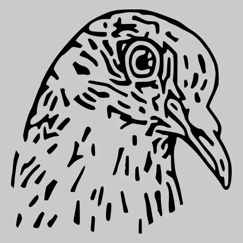 pigeon