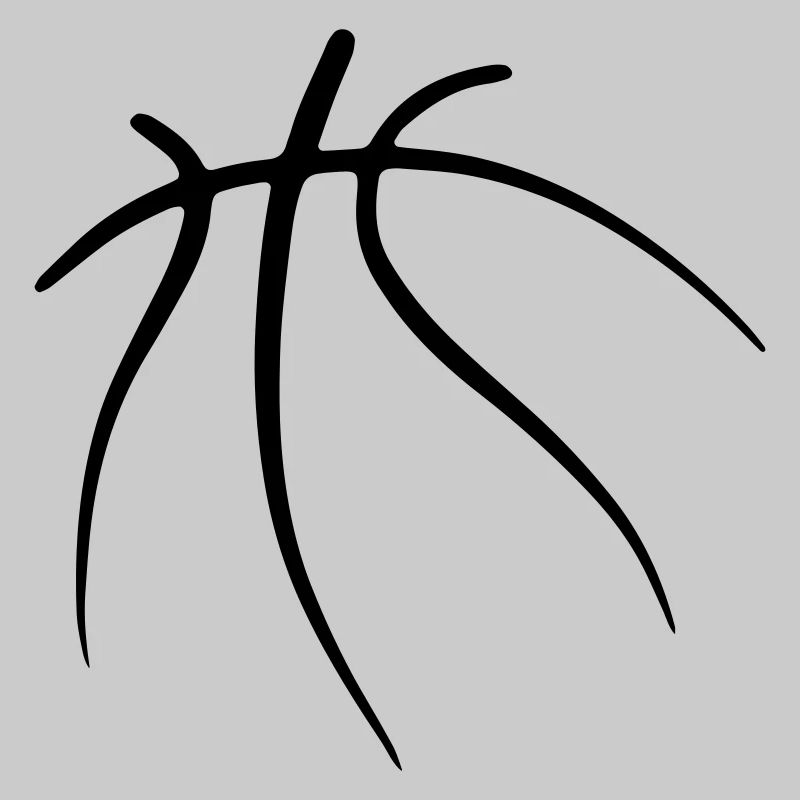 Basketbäll 09 Zeichenfläche 9