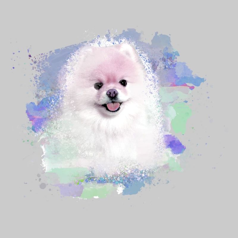 pomerian,zwergspitz ,spitz,hund, Graffiti ,Malerei