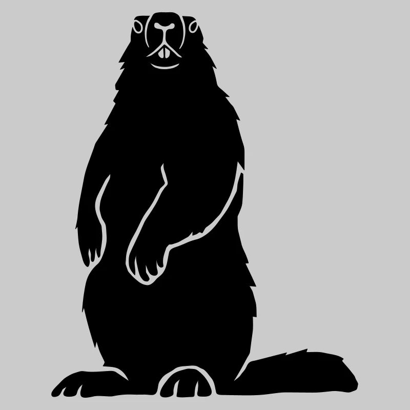 Murmeltier Alpen Alps Berge Groundhog Erdhörnchen