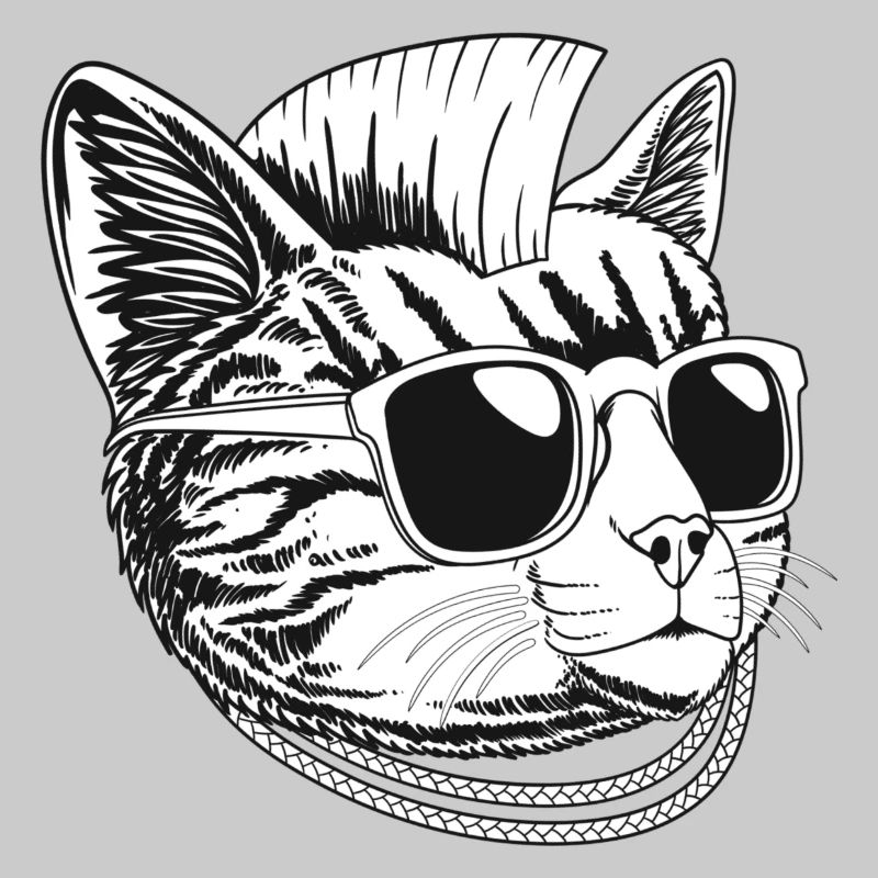 Chat punk