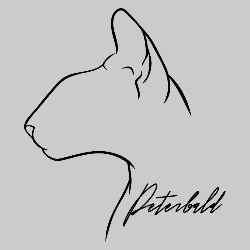 Peterbald Profil Chat Chat Wilsigns
