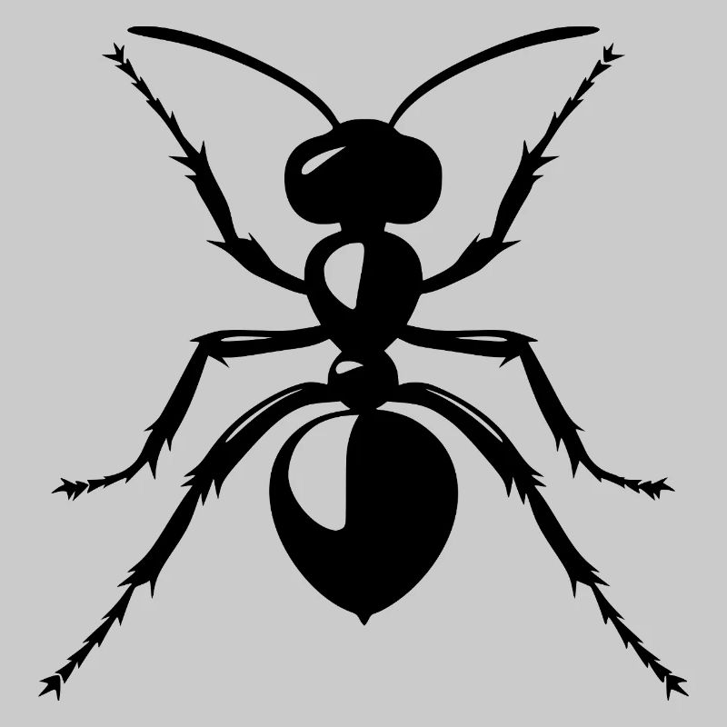 Ant