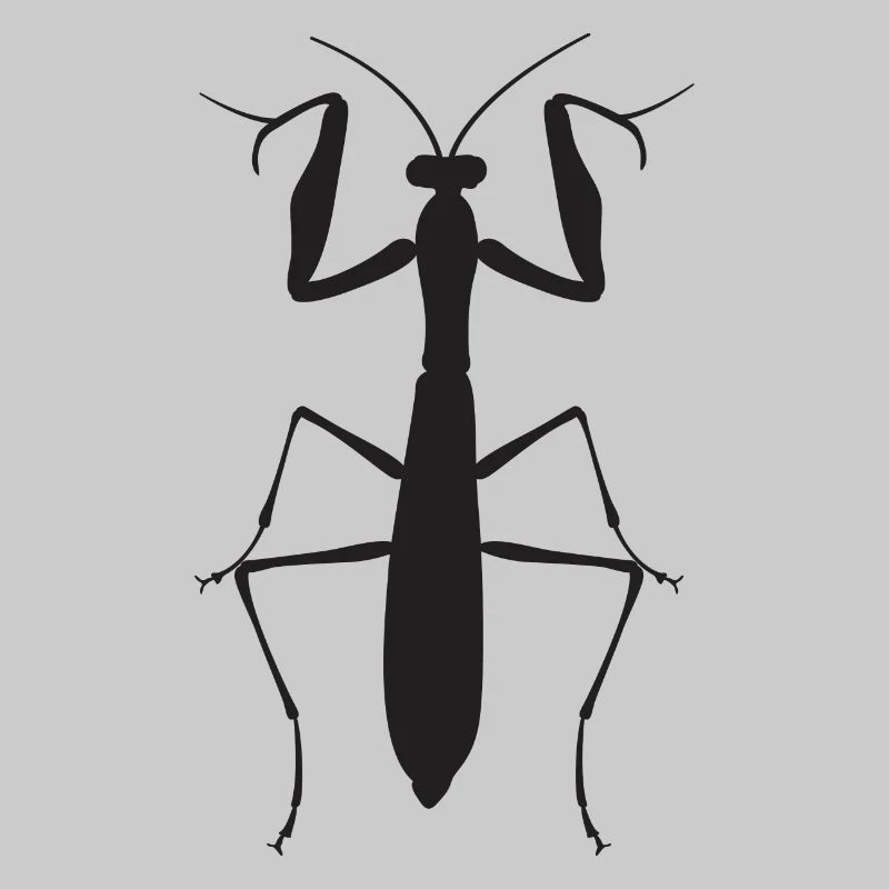 mantis