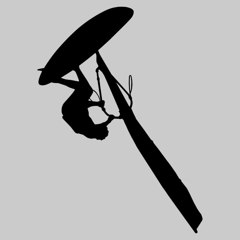 Windsurfer 2