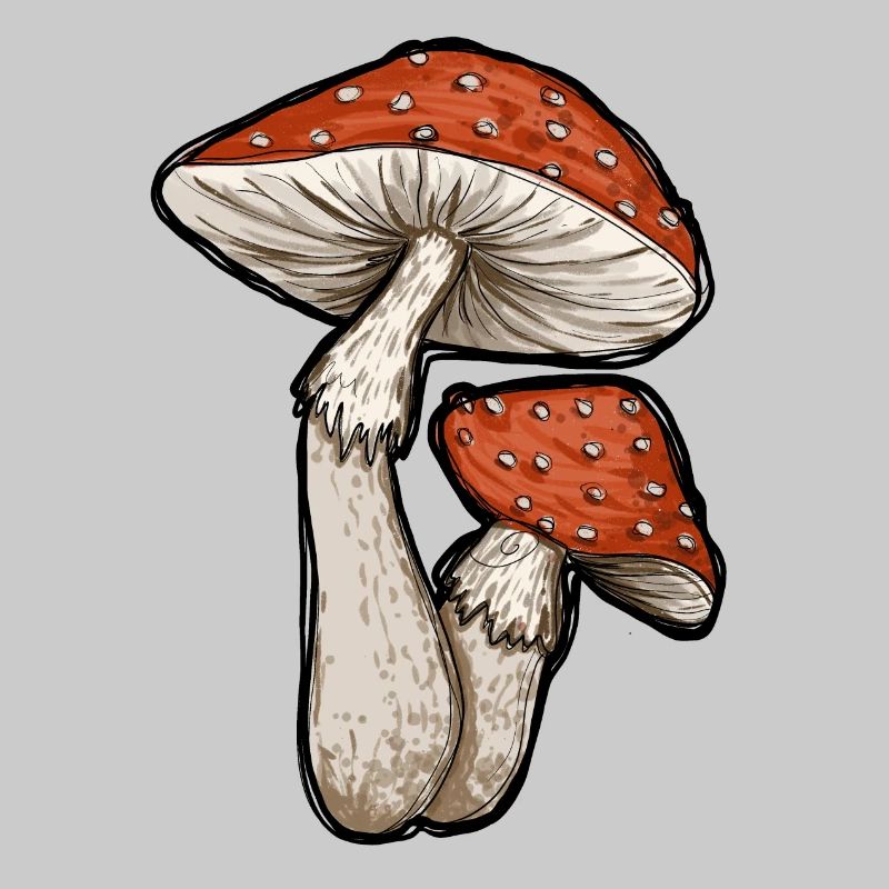 Toadstools Illustration