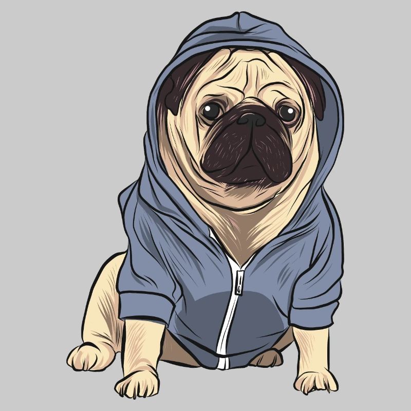 Mops mit Trainingsjacke