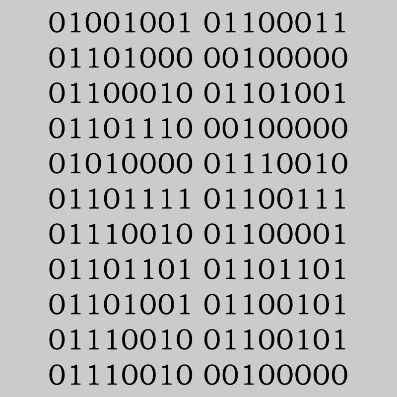 Code binaire « Je suis programmeur »