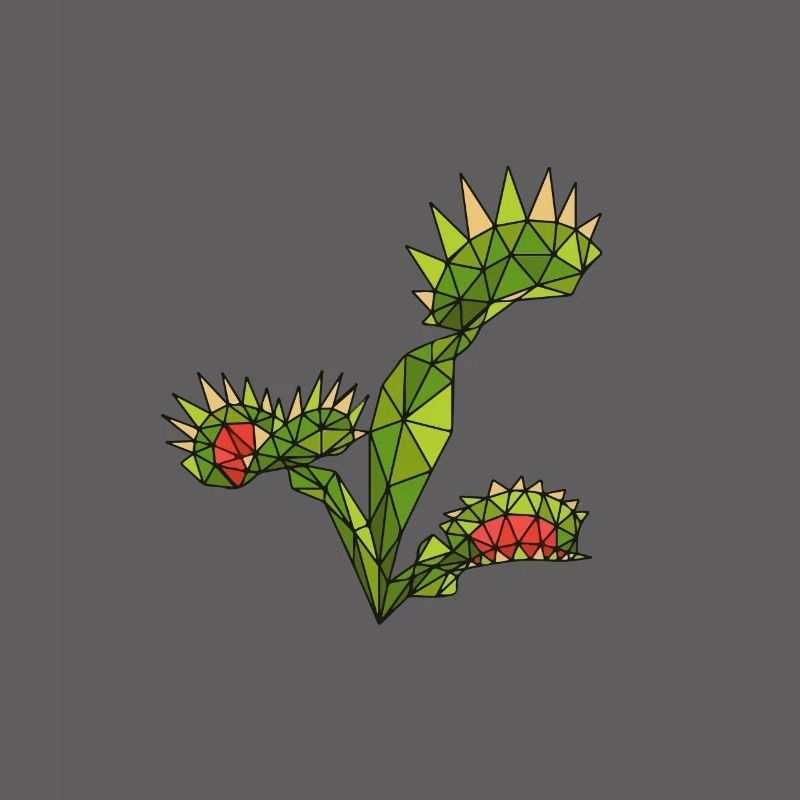 Carnivorous Plants Venus Flytrap
