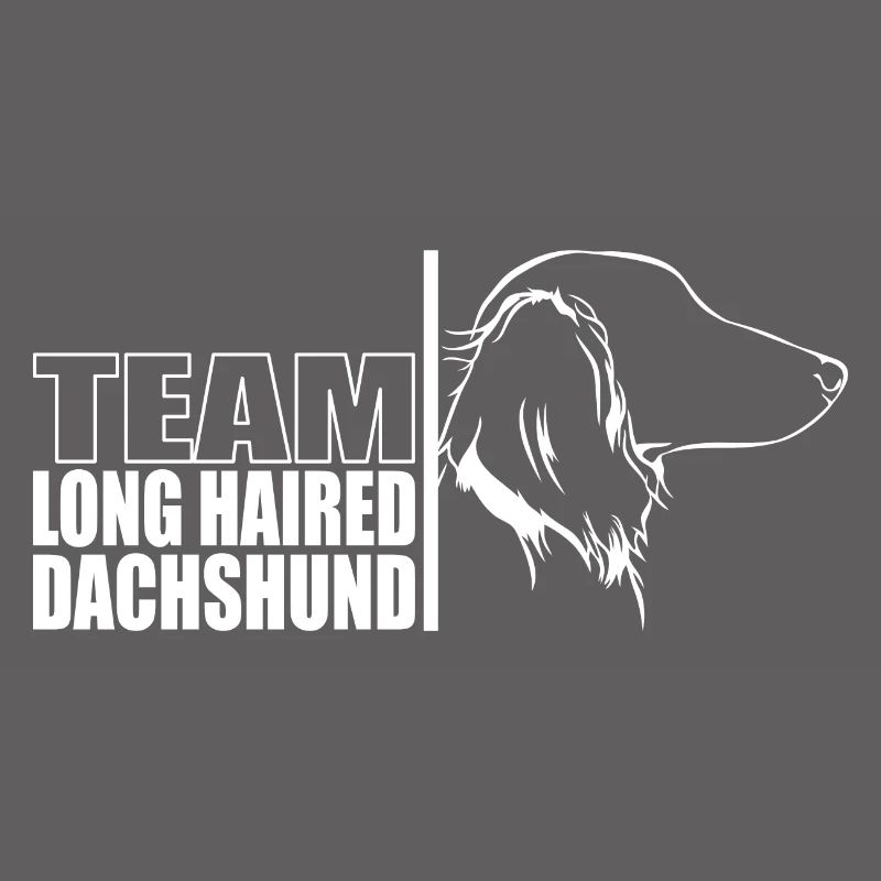 TEAM Teckel à poil long Chiens Teckel Wilsigns