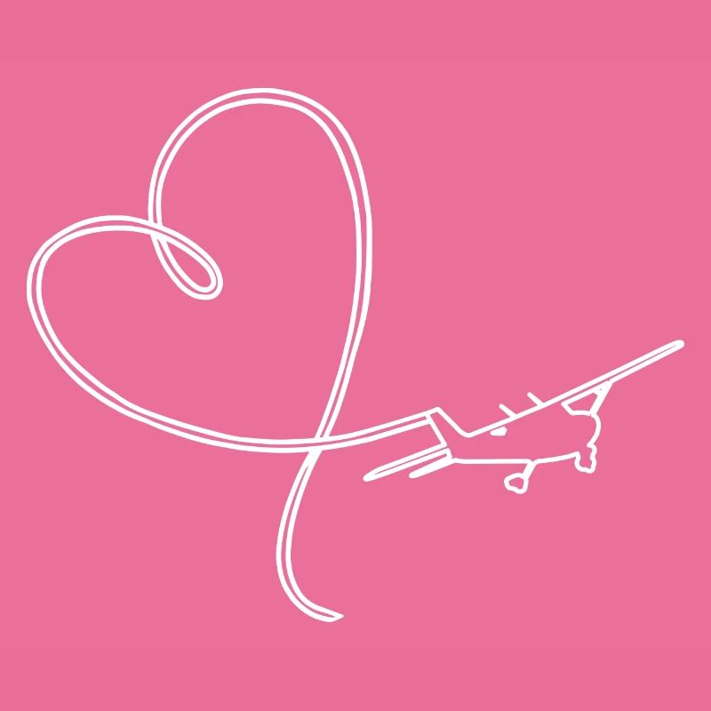 Pilot VFR aviation aircraft flight instructor