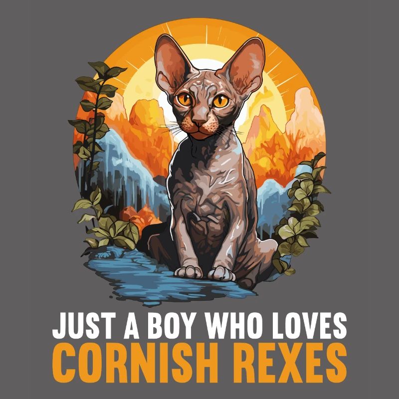 Cornish Rex Kitten Cornish Rex Cat